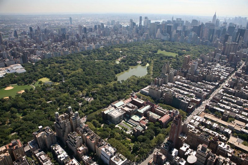 Date this hot Dominican Republic man Raek from Santo Domingo DO10184